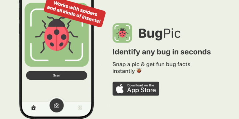 BugPic: Identify any insect in seconds, just by snapping a photo