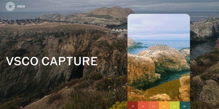 VSCO: Photo editing tools and a community for creators, by creators